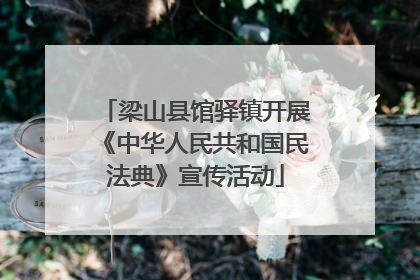 梁山县馆驿镇开展《中华人民共和国民法典》宣传活动