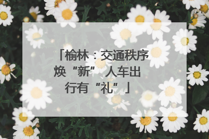 榆林：交通秩序焕“新” 人车出行有“礼”