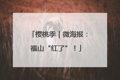 樱桃季｜微海报：福山“红了”！