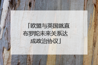 欧盟与英国就直布罗陀未来关系达成政治协议