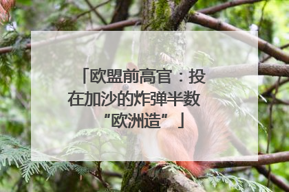 欧盟前高官：投在加沙的炸弹半数“欧洲造”