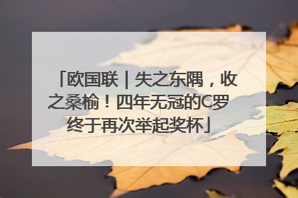 欧国联｜失之东隅，收之桑榆！四年无冠的C罗终于再次举起奖杯