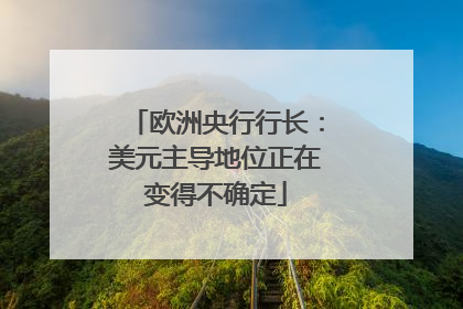欧洲央行行长：美元主导地位正在变得不确定