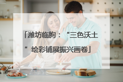 潍坊临朐：“三色沃土”绘彩铺展振兴画卷