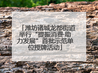 潍坊诸城龙都街道举行“提振消费·助力发展”首批示范单位授牌活动