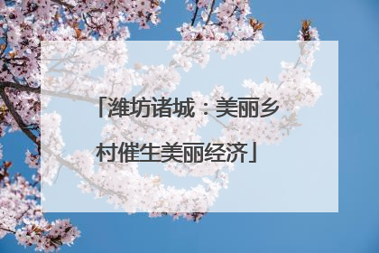 潍坊诸城：美丽乡村催生美丽经济