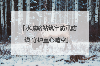 水城路站筑牢防汛防线 守护童心晴空