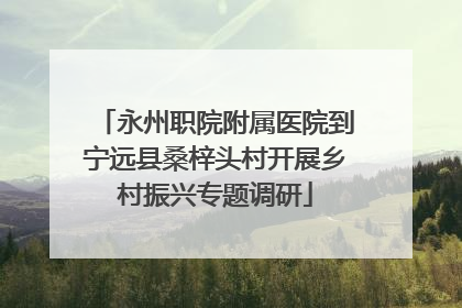 永州职院附属医院到宁远县桑梓头村开展乡村振兴专题调研