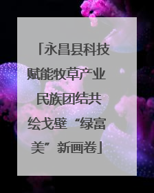 永昌县科技赋能牧草产业 民族团结共绘戈壁“绿富美”新画卷