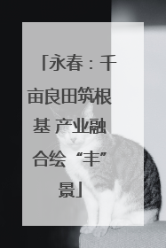永春：千亩良田筑根基 产业融合绘“丰”景