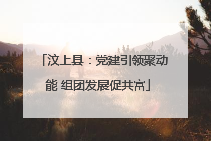 汶上县：党建引领聚动能 组团发展促共富