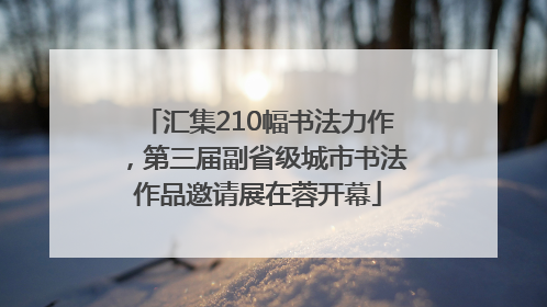 汇集210幅书法力作，第三届副省级城市书法作品邀请展在蓉开幕