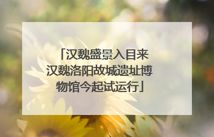 汉魏盛景入目来 汉魏洛阳故城遗址博物馆今起试运行