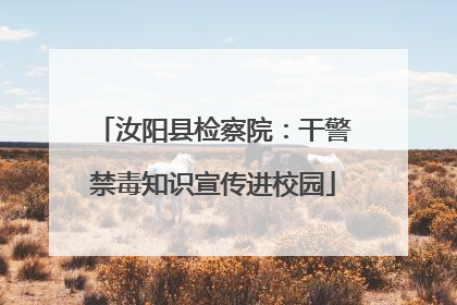 汝阳县检察院：干警禁毒知识宣传进校园