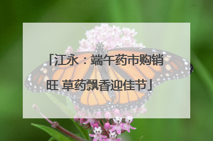 江永：端午药市购销旺 草药飘香迎佳节