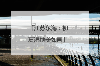 江苏东海：初夏湿地美如画
