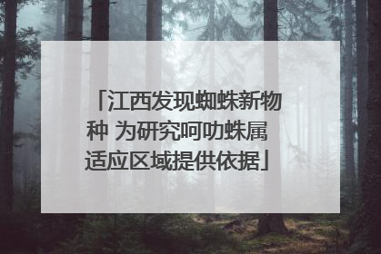 江西发现蜘蛛新物种 为研究呵叻蛛属适应区域提供依据