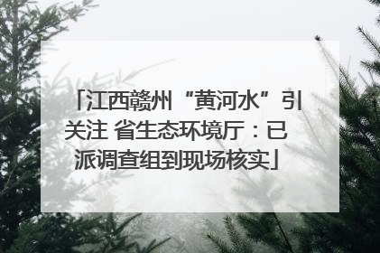 江西赣州“黄河水”引关注 省生态环境厅：已派调查组到现场核实