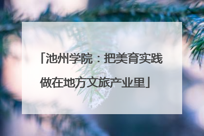 池州学院：把美育实践做在地方文旅产业里