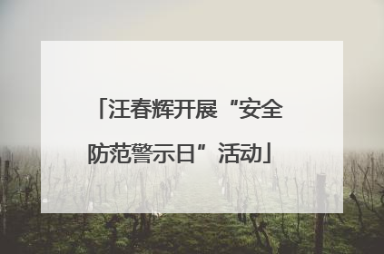 汪春辉开展“安全防范警示日”活动