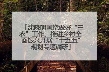 沈晓明围绕做好“三农”工作、推进乡村全面振兴开展“十五五”规划专题调研