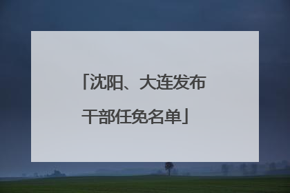 沈阳、大连发布干部任免名单
