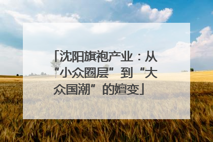 沈阳旗袍产业：从“小众圈层”到“大众国潮”的嬗变