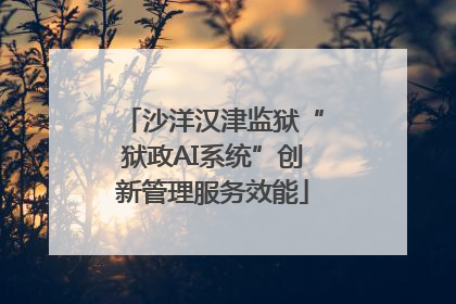 沙洋汉津监狱“狱政AI系统”创新管理服务效能