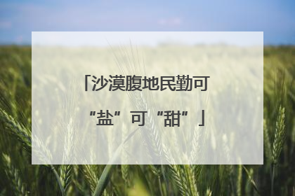 沙漠腹地民勤可“盐”可“甜”