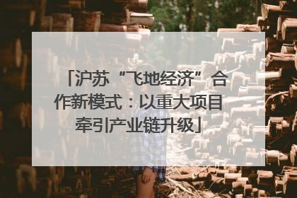 沪苏“飞地经济”合作新模式：以重大项目牵引产业链升级