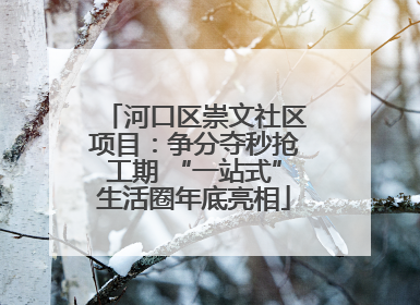 河口区崇文社区项目：争分夺秒抢工期 “一站式”生活圈年底亮相
