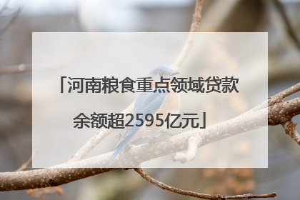 河南粮食重点领域贷款余额超2595亿元