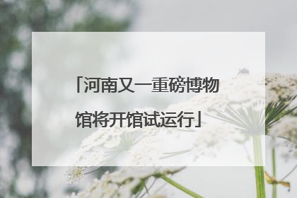 河南又一重磅博物馆将开馆试运行