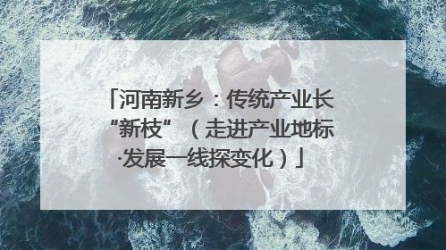 河南新乡：传统产业长“新枝”（走进产业地标·发展一线探变化）