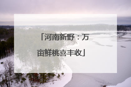 河南新野：万亩鲜桃喜丰收