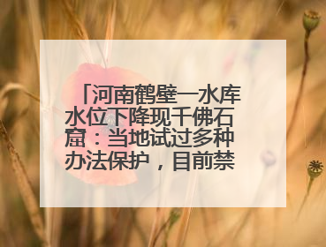 河南鹤壁一水库水位下降现千佛石窟：当地试过多种办法保护，目前禁止打卡