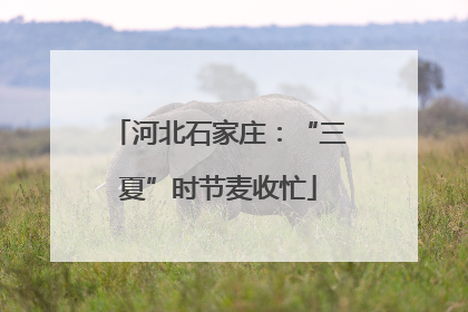 河北石家庄：“三夏”时节麦收忙