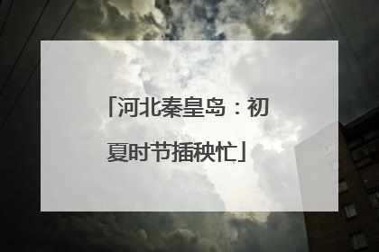 河北秦皇岛：初夏时节插秧忙