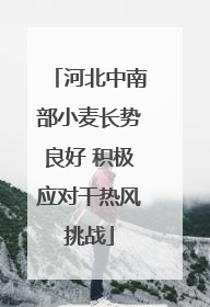 河北中南部小麦长势良好 积极应对干热风挑战