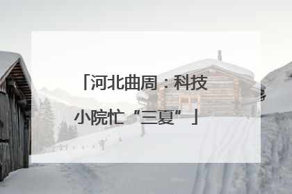 河北曲周：科技小院忙“三夏”