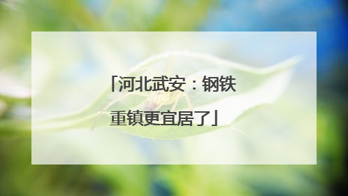 河北武安：钢铁重镇更宜居了