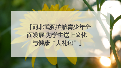 河北武强护航青少年全面发展 为学生送上文化与健康“大礼包”