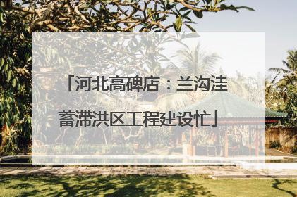 河北高碑店：兰沟洼蓄滞洪区工程建设忙