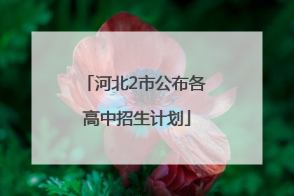 河北2市公布各高中招生计划