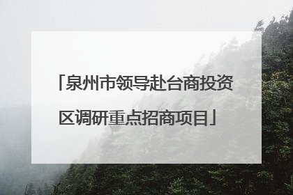 泉州市领导赴台商投资区调研重点招商项目