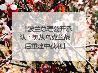 波兰总理公开承认：想从乌克兰战后重建中获利