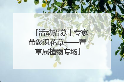 活动招募丨专家带您识花草——萱草属植物专场