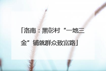 洛南：黑彰村“一地三金”铺就群众致富路