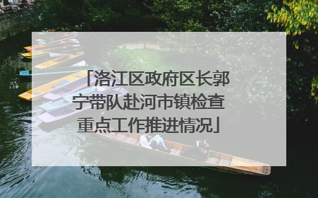 洛江区政府区长郭宁带队赴河市镇检查重点工作推进情况