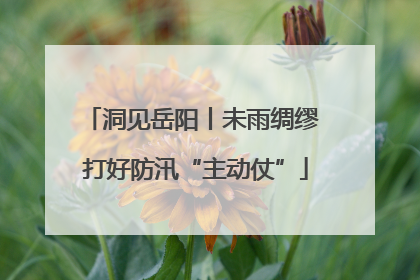 洞见岳阳丨未雨绸缪 打好防汛“主动仗”